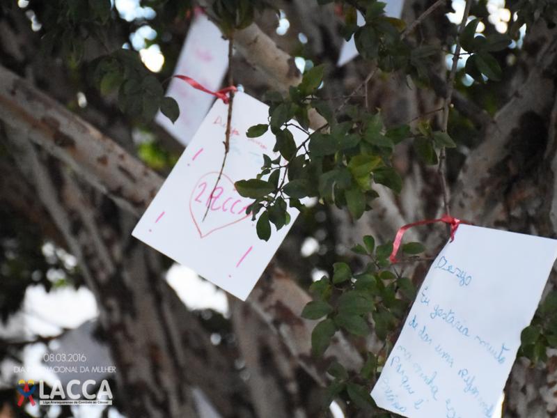 Árvore com bilhetes de papel pendurados nos galhos