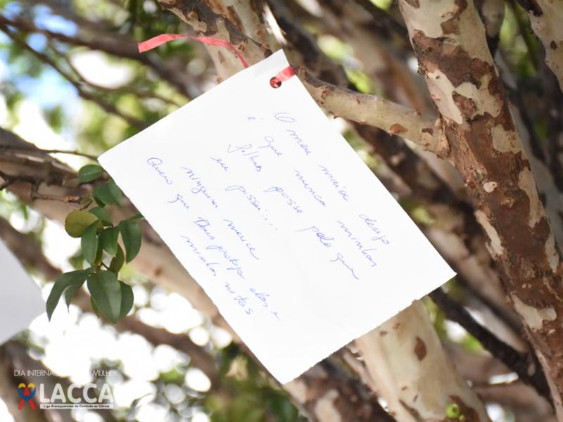 Bilhete escrito à mão pendurado num galho