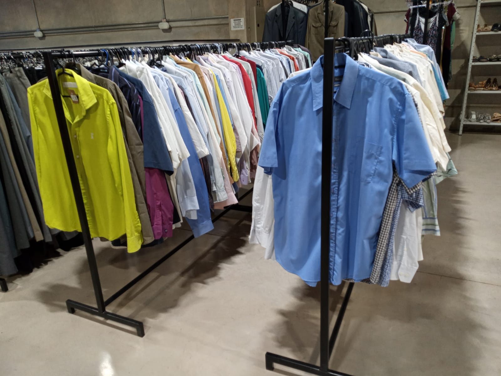 Araras com camisas coloridas